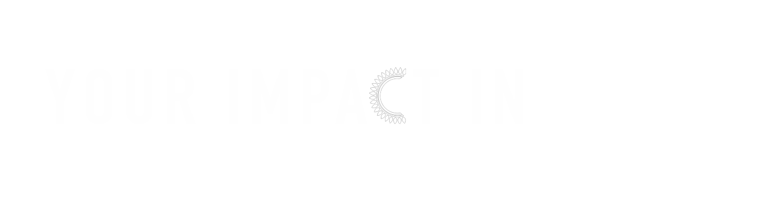Pakistan Impact Pakistan Impact